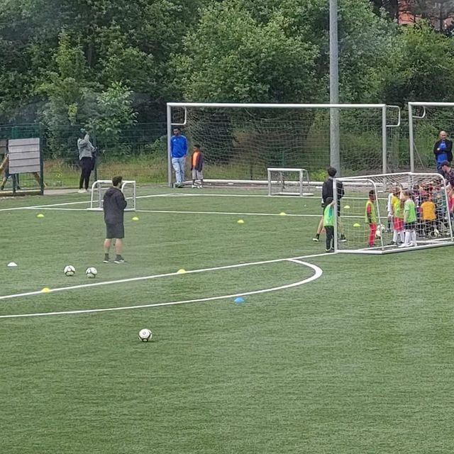 Overzicht van de trainingsvelden