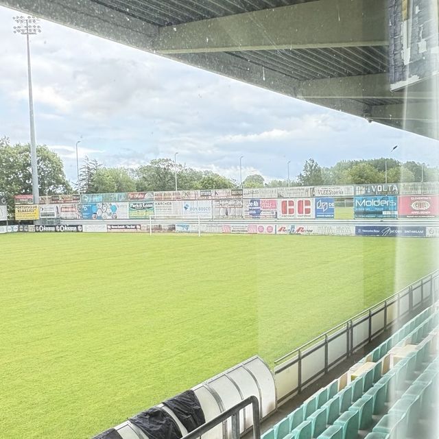 Zicht op het hoofdveld